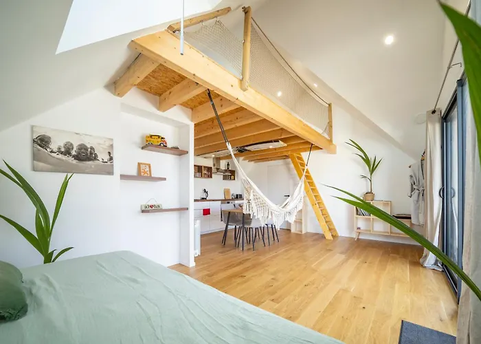 Loft Cozy